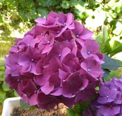 家電の寿命 有限会社コープサービスしこく