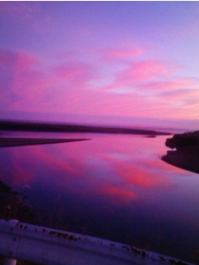 高知県東部河口付近１