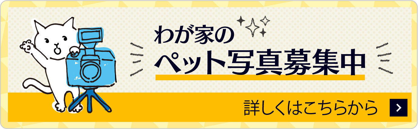 わが家のペット写真募集中